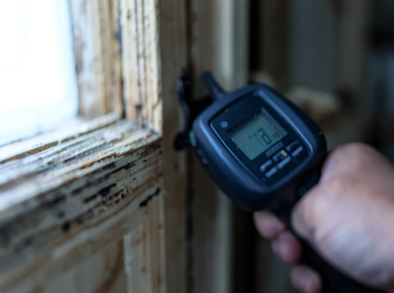 Water Damage Restoration Lafayette, AL FAQs